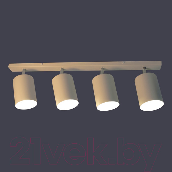 Изображение товара Спот Элетех НПБ 01-4х60-513 / 1005404516 (белый матовый)