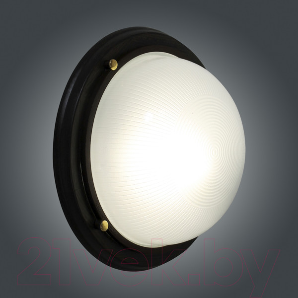 Изображение товара Светильник ЖКХ Элетех Самарканд 1101 НПП 03-100-009 IP65 / 1005501082 (венге)