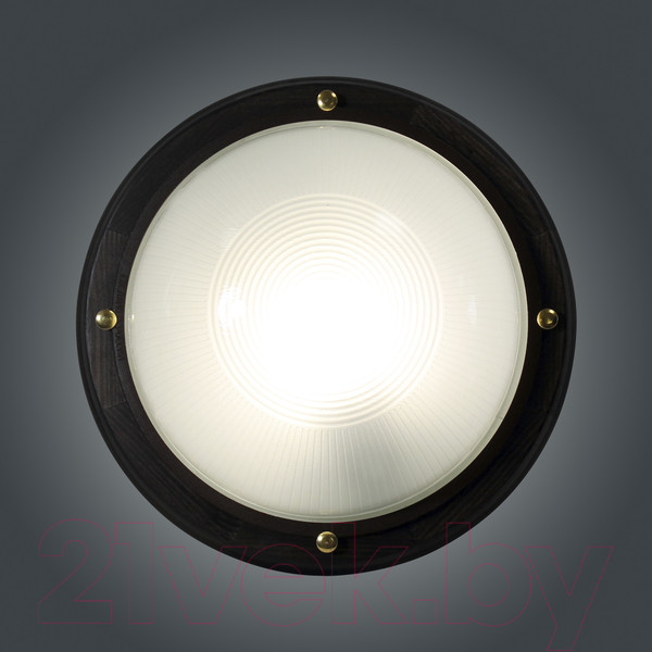 Изображение товара Светильник ЖКХ Элетех Самарканд 1101 НПП 03-100-009 IP65 / 1005501082 (венге)