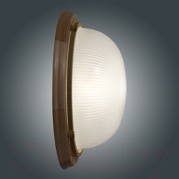 Изображение товара Светильник ЖКХ Элетех Самарканд 1101 НПП 03-100-009 IP65 / 1005501083 (сосна)