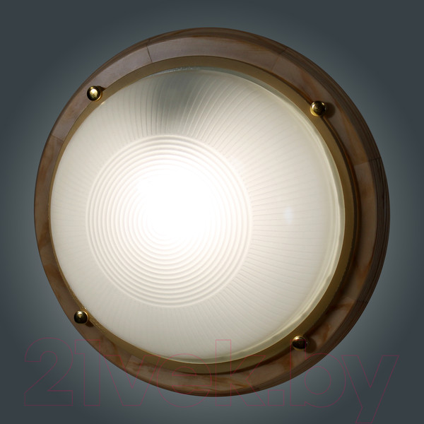 Изображение товара Светильник ЖКХ Элетех Самарканд 1101 НПП 03-100-009 IP65 / 1005501083 (сосна)