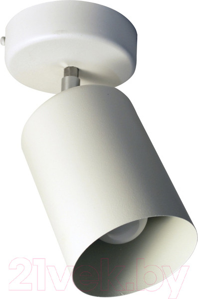 Изображение товара Спот Элетех НПБ 01-60-513 / 1005404513 (белый матовый)