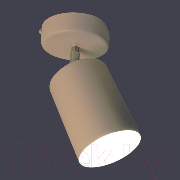 Изображение товара Спот Элетех НПБ 01-60-513 / 1005404513 (белый матовый)