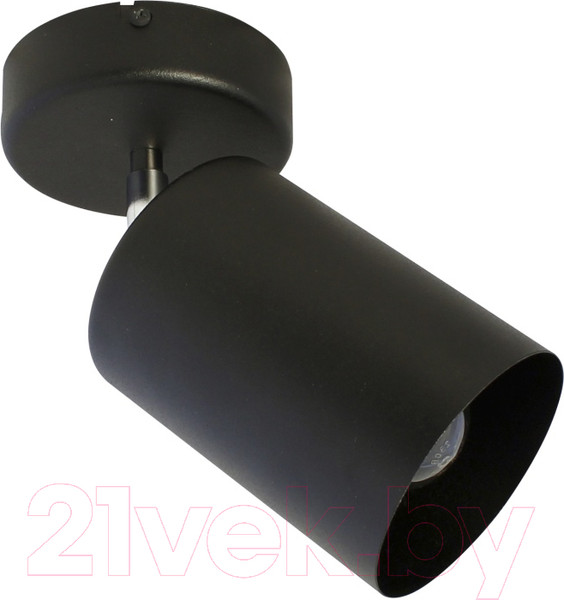 Изображение товара Спот Элетех НПБ 01-60-513 / 1005404518 (черный матовый)
