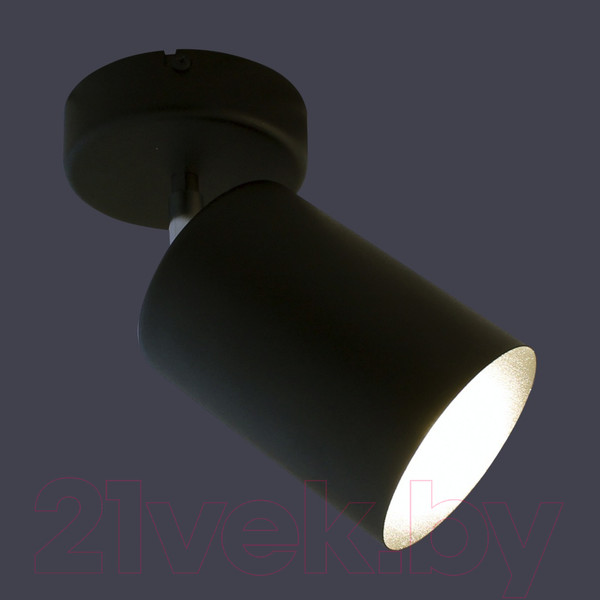 Изображение товара Спот Элетех НПБ 01-60-513 / 1005404518 (черный матовый)