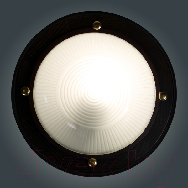 Изображение товара Светильник ЖКХ Элетех Самарканд 1301 НПП 03-60-013 IP65 / 1005501084 (венге)