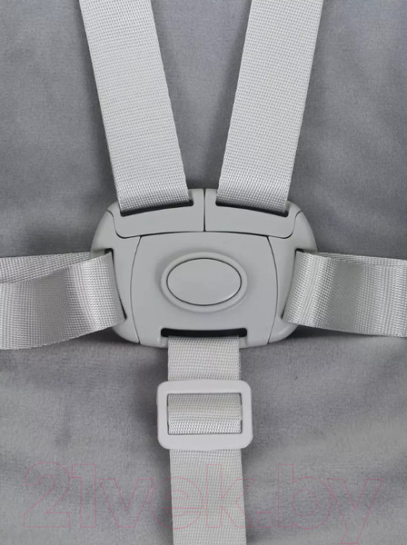 Изображение товара Стульчик для кормления Rant Basic Mango / RH304 (Grey)