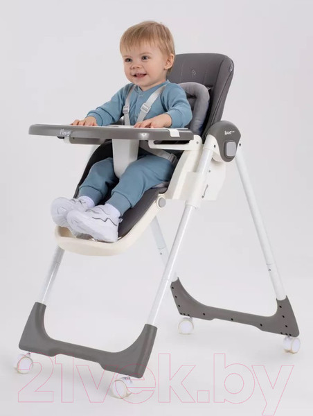 Изображение товара Стульчик для кормления Rant Basic Mango / RH304 (Grey)