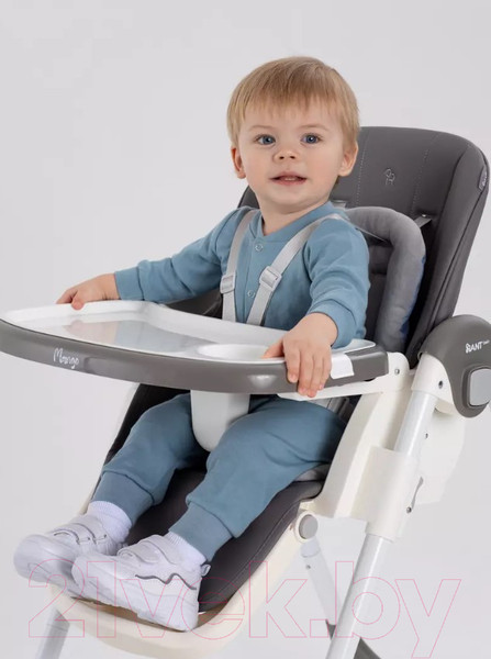 Изображение товара Стульчик для кормления Rant Basic Mango / RH304 (Grey)