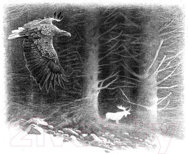 Изображение товара Книга Азбука Хроники темных времен. Книга 9 (Пейвер М.)