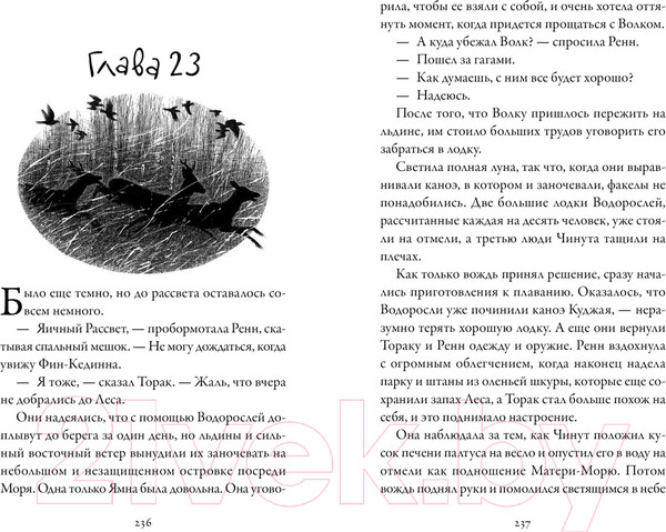 Изображение товара Книга Азбука Хроники темных времен. Книга 9 (Пейвер М.)