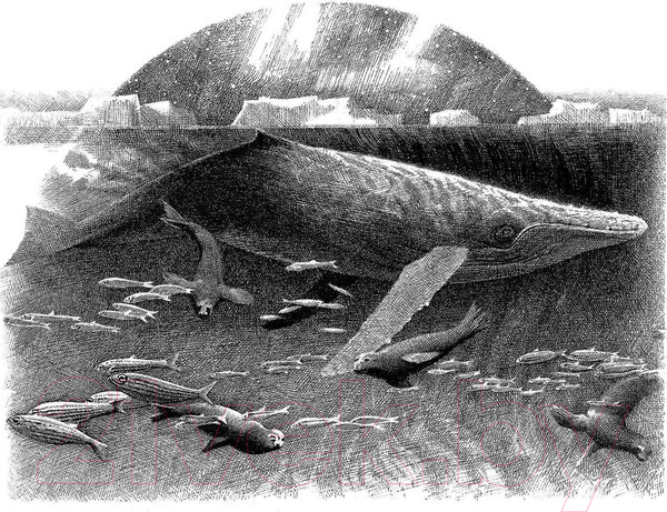 Изображение товара Книга Азбука Хроники темных времен. Книга 9 (Пейвер М.)