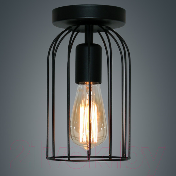 Изображение товара Потолочный светильник Элетех Танго 111 НПБ 01-60-108 Е27 / 1005405021 (черный муар)