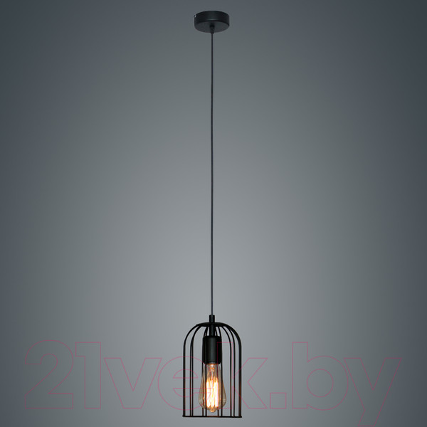 Изображение товара Потолочный светильник Элетех Танго 211 НСБ 01-60-170 Е27 / 1005405017 (черный муар)