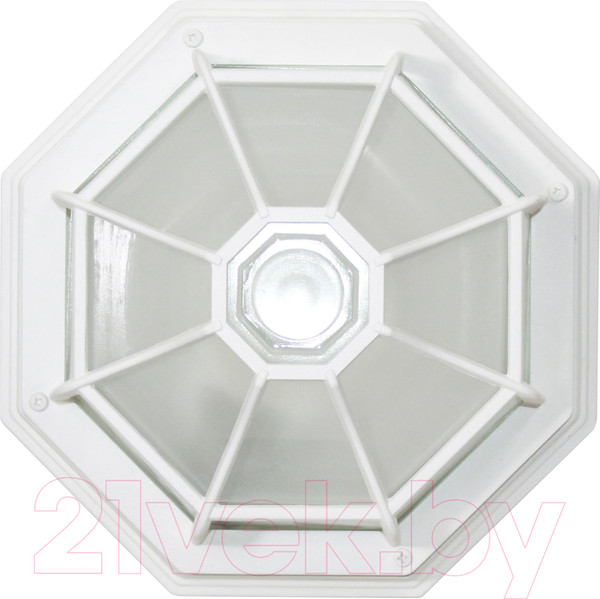 Изображение товара Светильник ЖКХ Элетех Тартаруга НПП 03-100-005 IP65 / 1005301192 (белый)