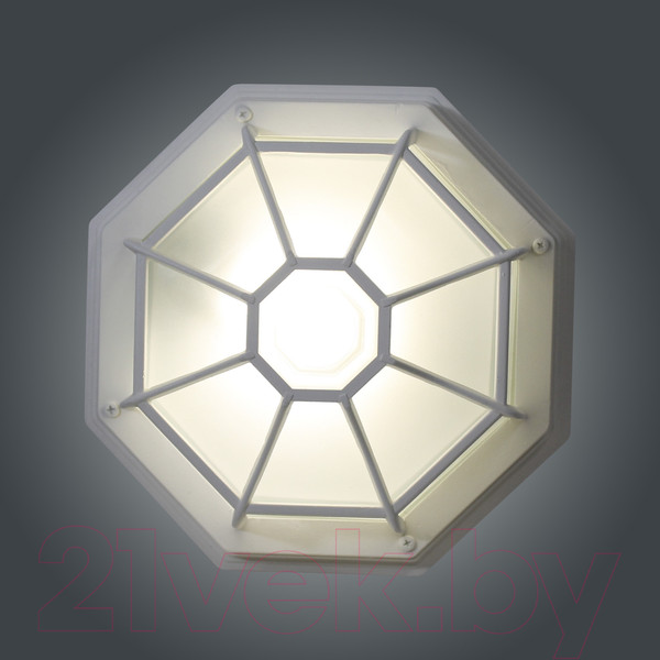 Изображение товара Светильник ЖКХ Элетех Тартаруга НПП 03-100-005 IP65 / 1005301192 (белый)