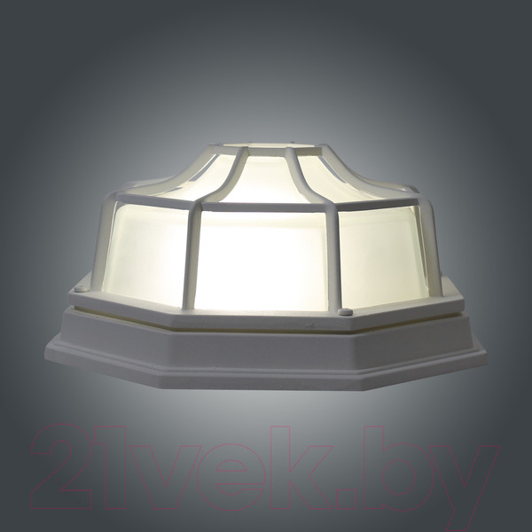 Изображение товара Светильник ЖКХ Элетех Тартаруга НПП 03-100-005 IP65 / 1005301192 (белый)