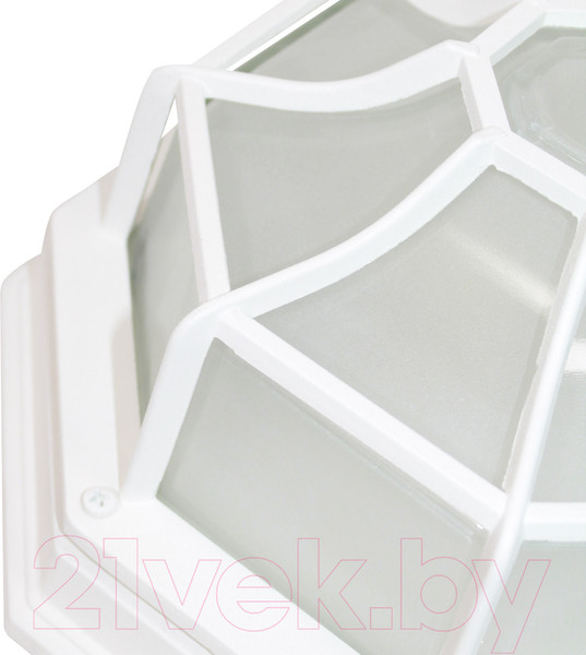 Изображение товара Светильник ЖКХ Элетех Тартаруга НПП 03-100-005 IP65 / 1005301192 (белый)