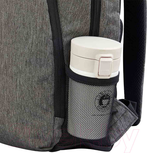 Изображение товара Рюкзак Delsey Esplanade / 00394260301 (антрацитовый)