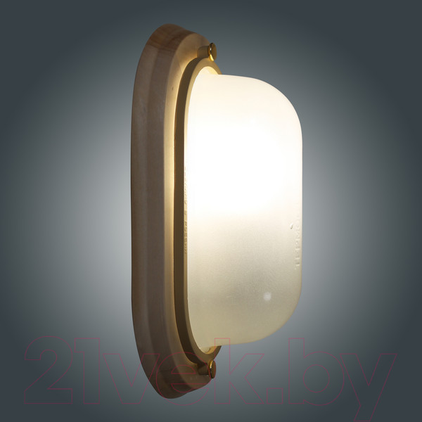 Изображение товара Светильник ЖКХ Элетех Терма 1401 НББ 03-60-021 IP 65 / 1005501032