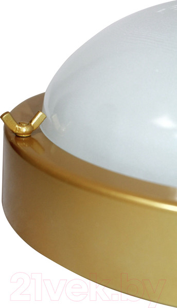 Изображение товара Светильник ЖКХ Элетех Терма 3 НББ 03-60-003 IP65 / 1005500585