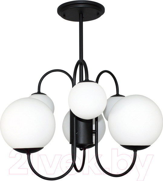 Изображение товара Люстра Элетех Тефия 261 НСБ 01-6х40-101 / 1005405126 (черный)