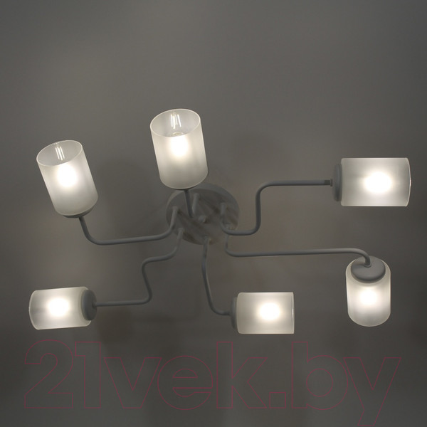 Изображение товара Люстра Элетех Техно 162 НСБ 01-6х60-114 Е27 / 1005404586 (белый)