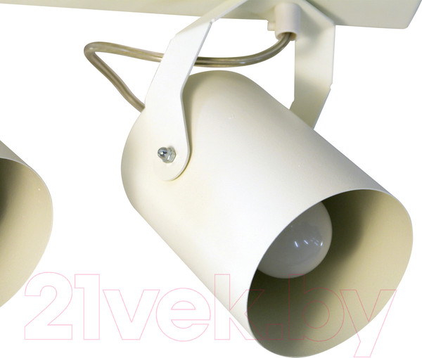 Изображение товара Спот Элетех Трек НПБ 01-2х60-514 / 1005404524 (белый матовый)