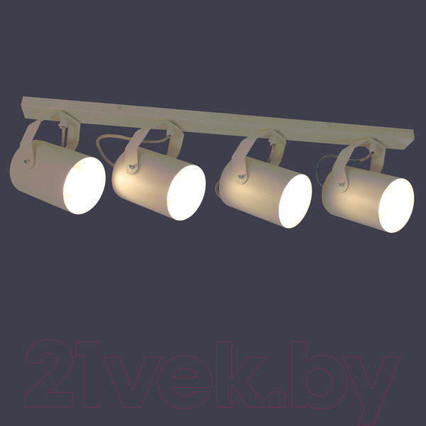 Изображение товара Спот Элетех Трек НПБ 01-4х60-514 / 1005404526 (белый матовый)