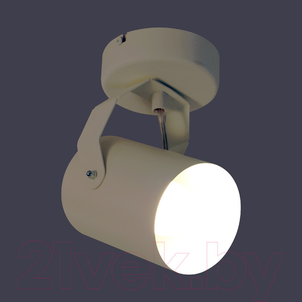 Изображение товара Спот Элетех Трек НПБ 01-60-514 / 1005404523 (белый матовый)