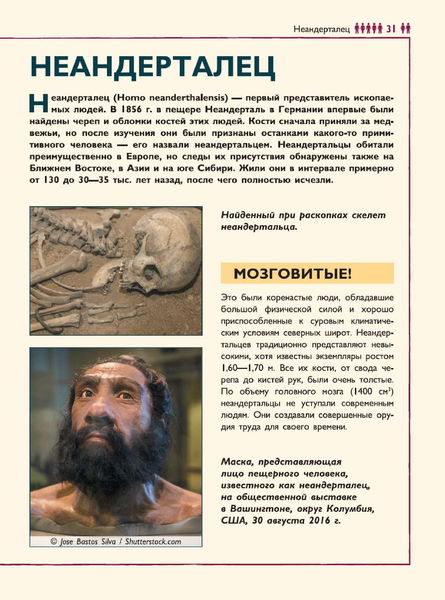 Изображение товара Энциклопедия АСТ Человек. Энциклопедия для детей (Гусев Е.В.)