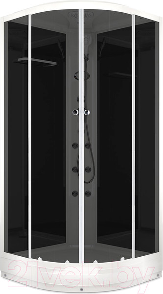 Изображение товара Душевая кабина Domani-Spa Delight 88 / DS01D88LBT10 (черный/тонированное стекло)