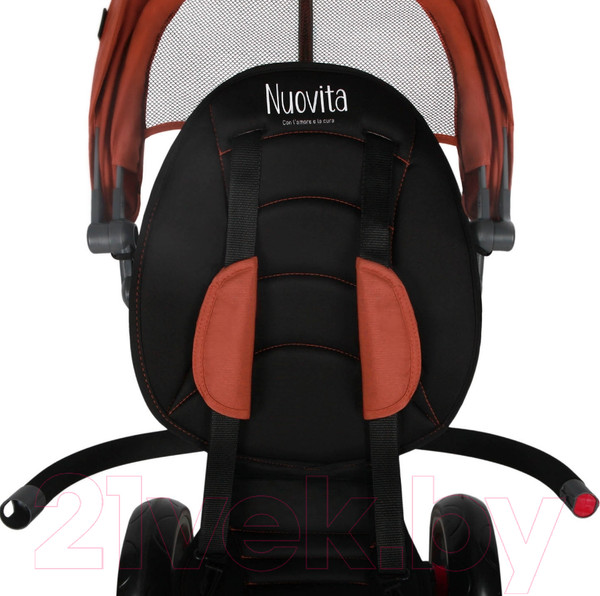 Изображение товара Трехколесный велосипед с ручкой Nuovita Bamzione BE1 (терракотовый)