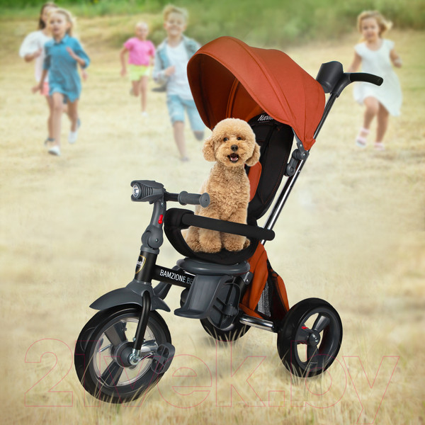 Изображение товара Трехколесный велосипед с ручкой Nuovita Bamzione BE1 (терракотовый)