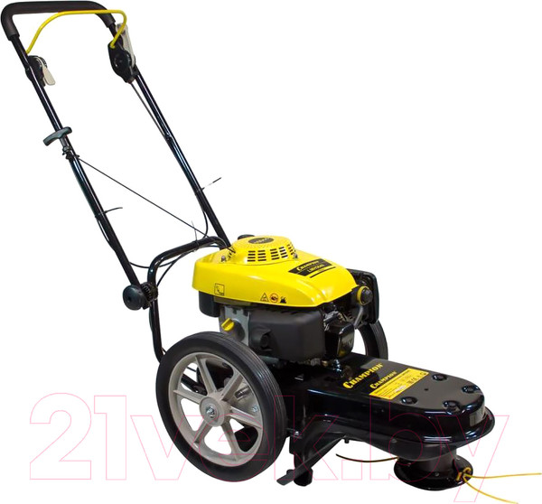 Изображение товара Газонокосилка бензиновая Champion LMH5640