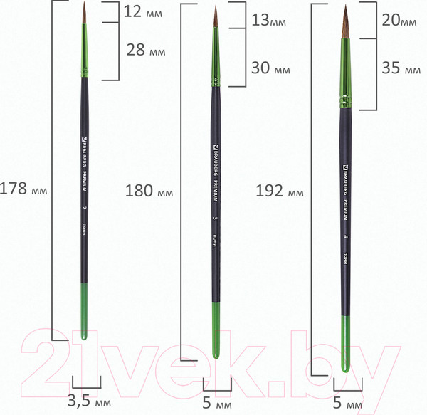 Изображение товара Набор кистей Brauberg Premium / 201023 (10шт)