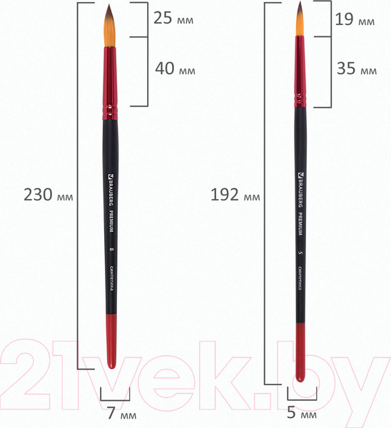 Изображение товара Набор кистей Brauberg Premium / 201027 (10шт)