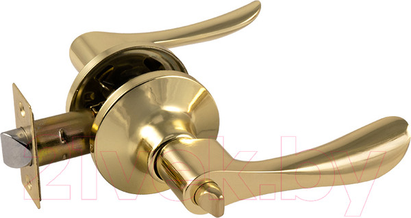 Изображение товара Ручка дверная Нора-М Isparus ЗВ3-03 (золото)