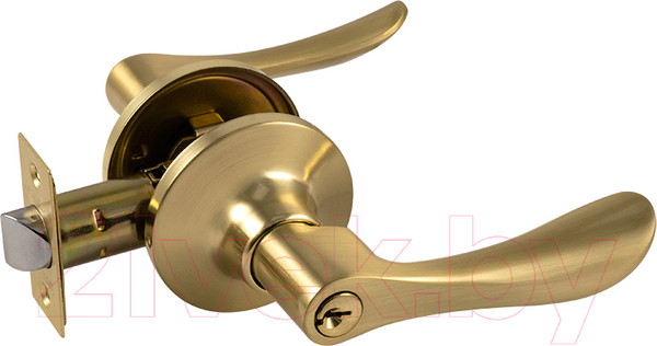 Изображение товара Ручка дверная Нора-М Isparus ЗВ3-01 (матовое золото)