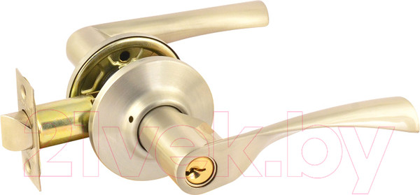 Изображение товара Ручка дверная Нора-М Isparus ЗВ2-01-STD (матовое никель)