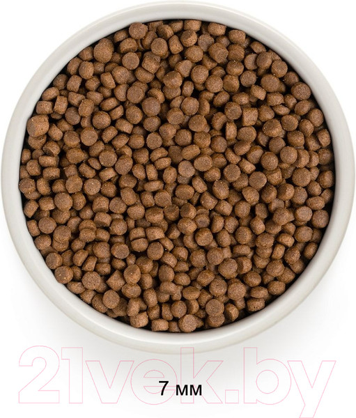 Изображение товара Сухой корм для кошек Grandorf Cat 4 Meat Probiotic Sterilised (2кг)