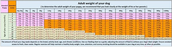 Изображение товара Сухой корм для собак Grandorf Dog Junior Lamb & Turkey (1кг)