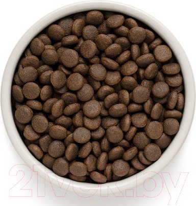 Изображение товара Сухой корм для собак Grandorf Medium & Maxi Breeds Rabbit & Turkey (10кг)