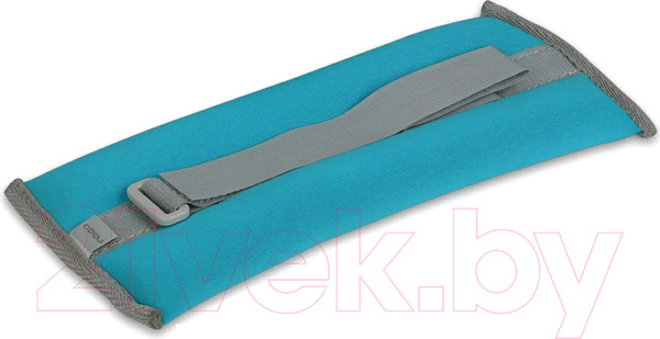 Изображение товара Комплект утяжелителей Indigo Sport Неопрен 2x0.2кг / SM-149 (бирюзовый)