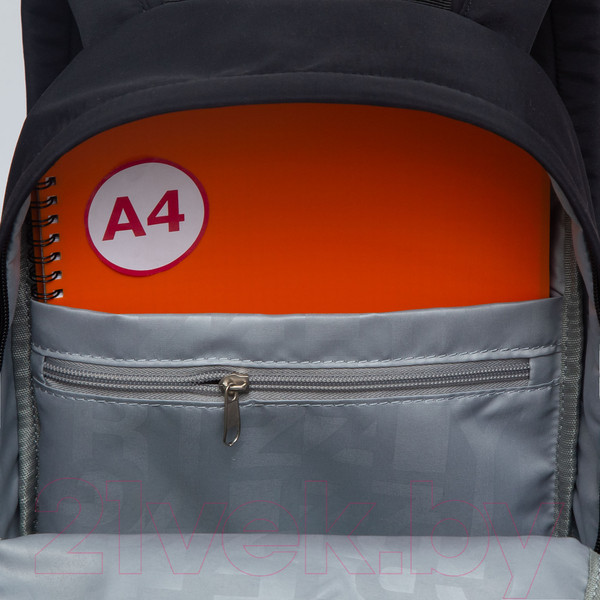 Изображение товара Рюкзак Grizzly RXL-327-2 (черный)