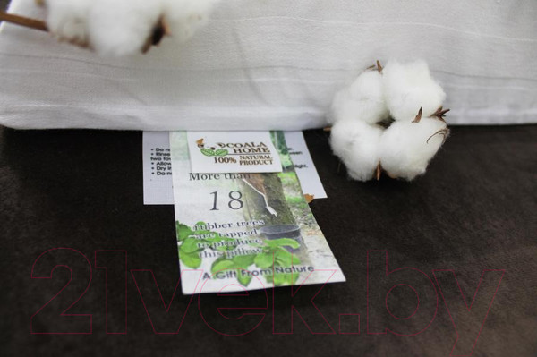 Изображение товара Ортопедическая подушка Coala Home Vinny (61x39x8/10.5)