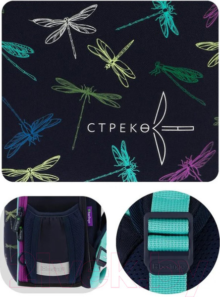 Изображение товара Школьный рюкзак Berlingo Expert Mini. Dragonfly / RU09046