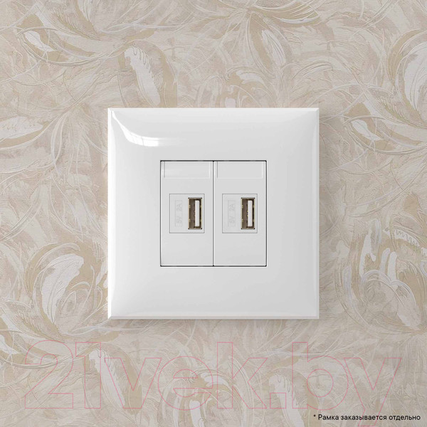 Изображение товара Розетка DKC Avanti 4400543 (белое облако)