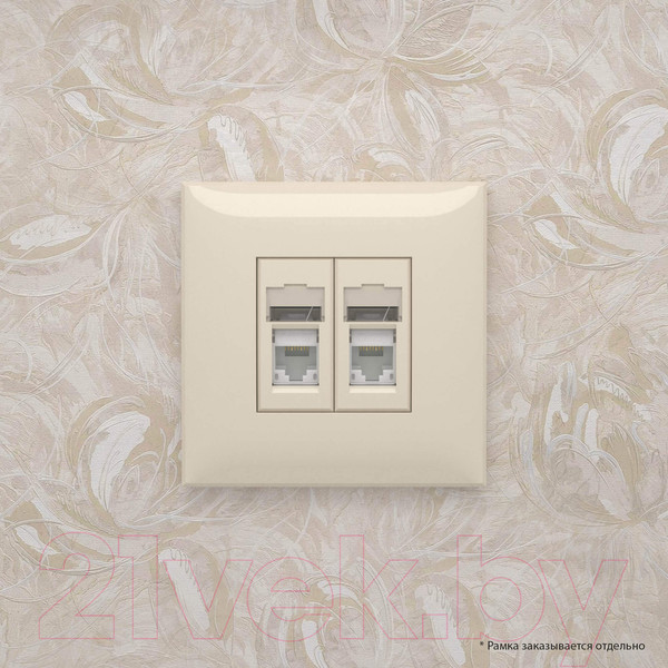 Изображение товара Розетка DKC Avanti RJ-45 / 4405464 (ванильная дымка)