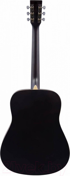 Изображение товара Акустическая гитара Veston D-40 SP/SBS